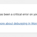 There has been a critical error on your website – Solved